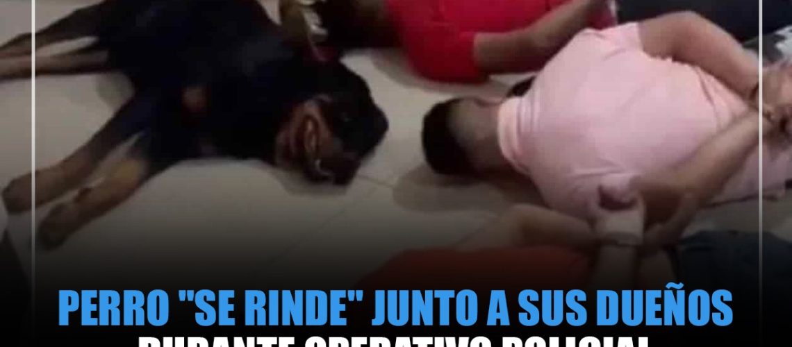 Brasil-perro-guardian-rindio-duenos-operativo-policial